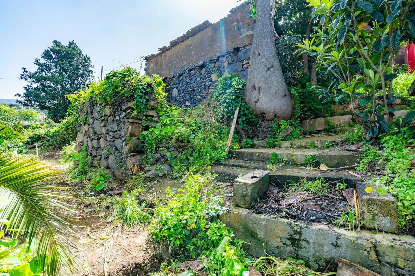 Finca rústica en venda en La Victoria de Acentejo