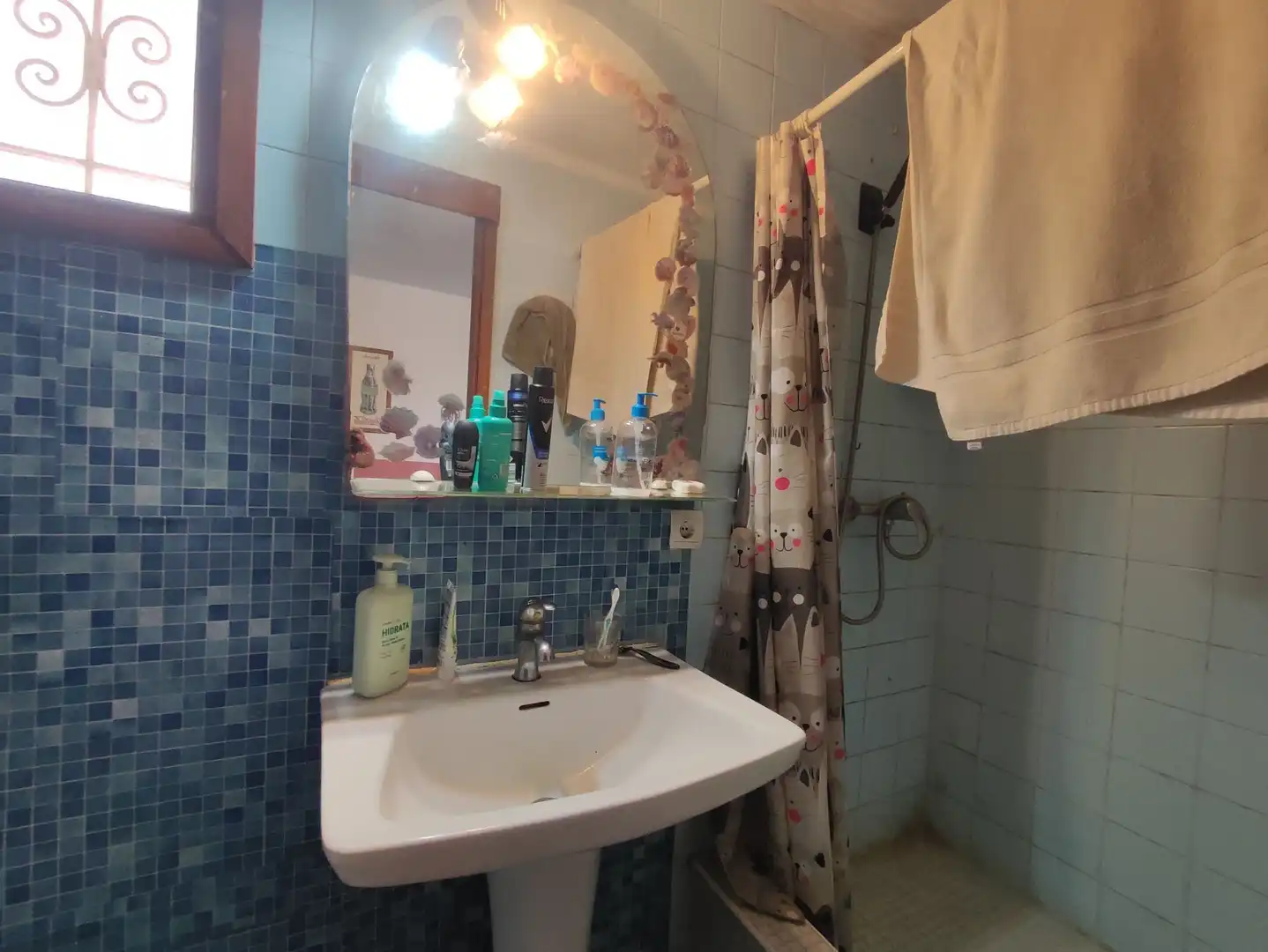 Bany de Casa o xalet en venda en Sant Josep de sa Talaia amb Aire condicionat, Calefacció i Terrassa