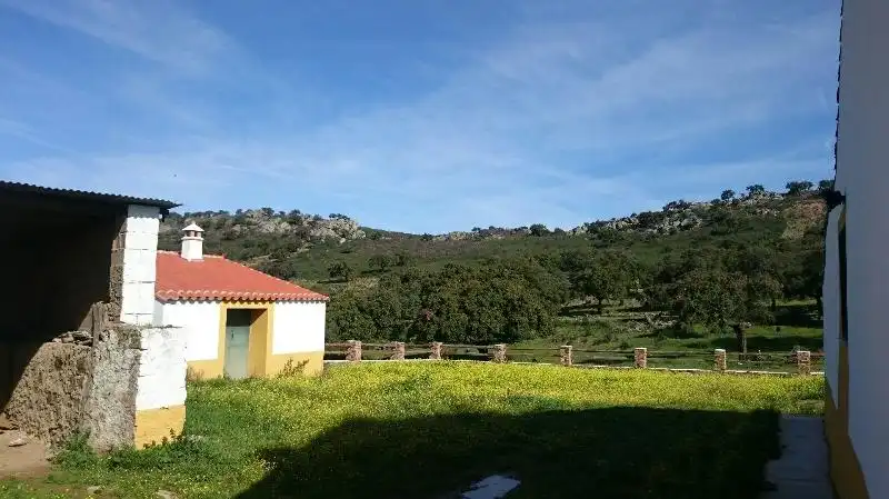 Exterior view of Land for sale in Salorino