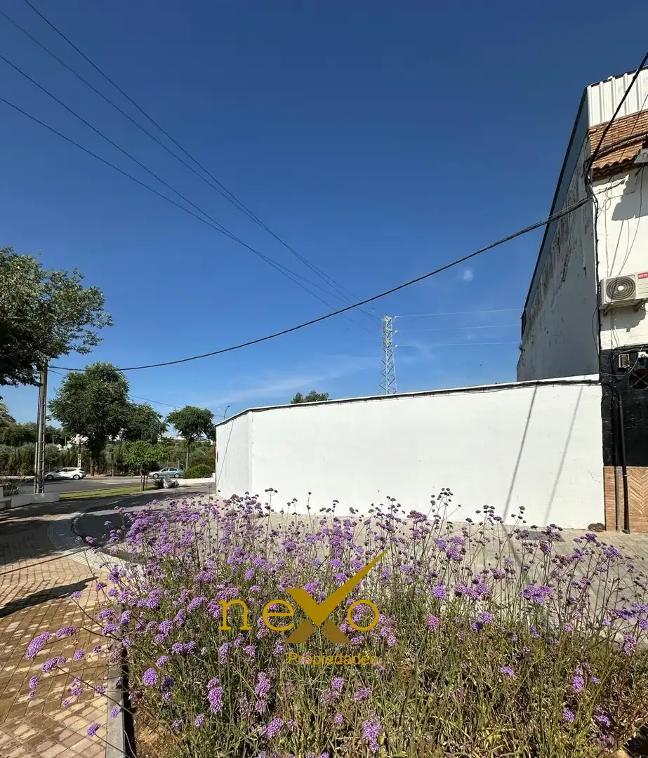 Terreni e lotti in vendita a Carmona