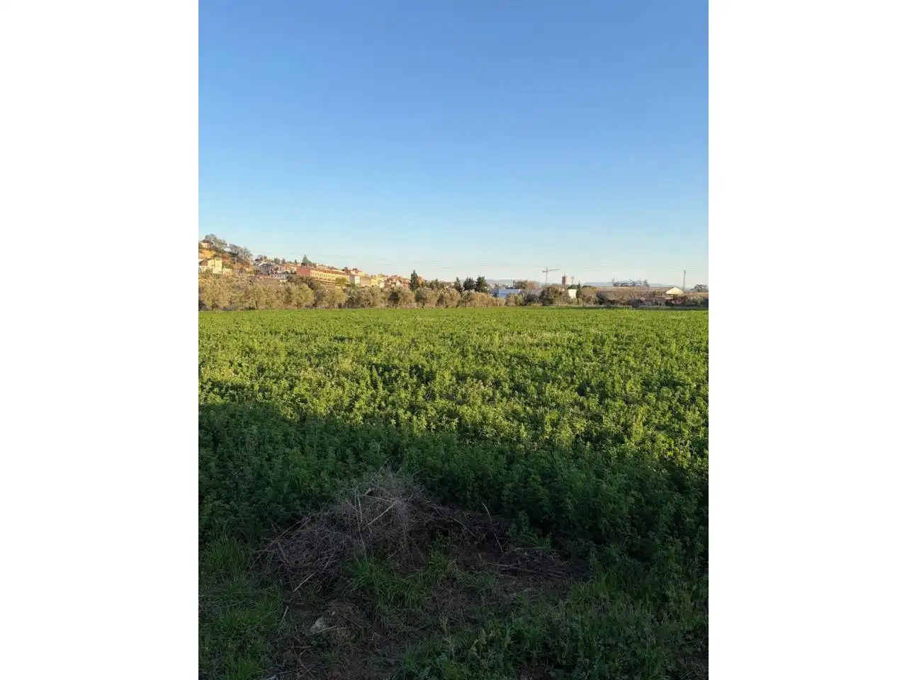 Land for sale in Caldes de Montbui