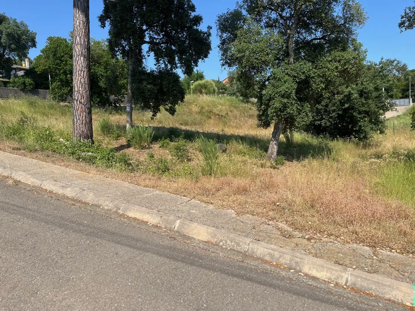 Terrain résidentiel à vendre à Urbanizacion Mas Llunes 1822, imagen 2