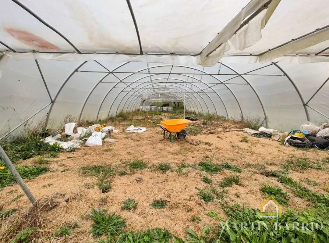 Garden of Land for sale in Sopuerta