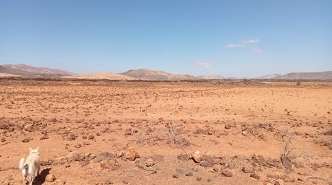 Foto 5 de Terreno en venta en Tiscamanita, Tuineje