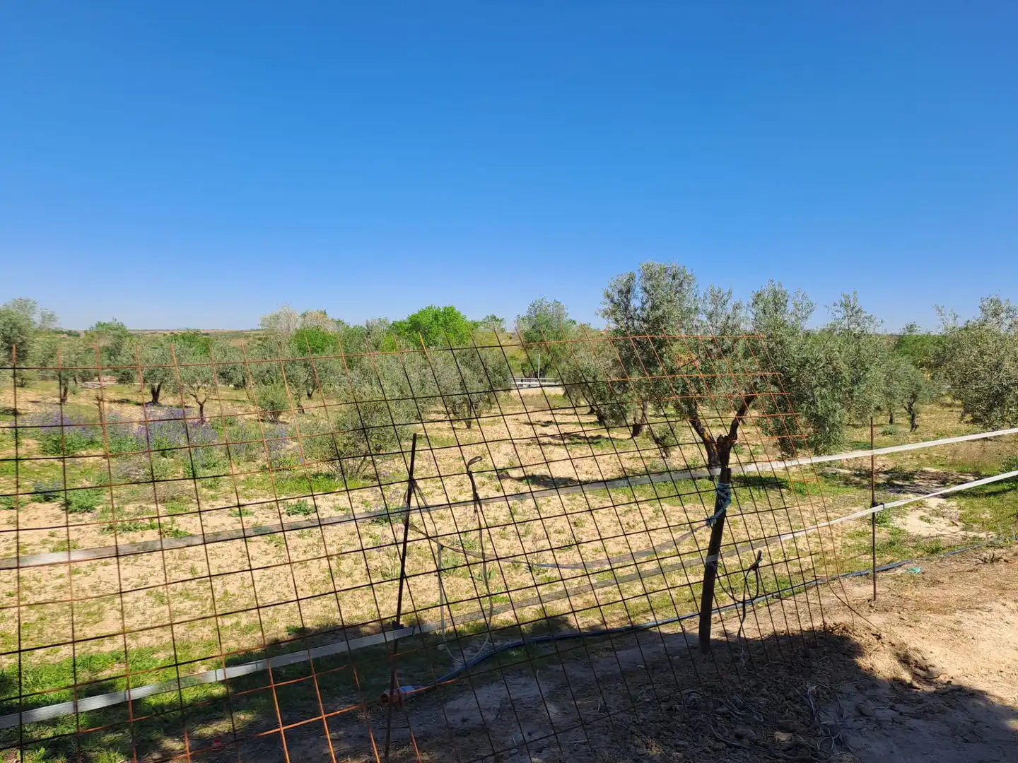 Terreny residencial en venda a Griñón, imagen 31