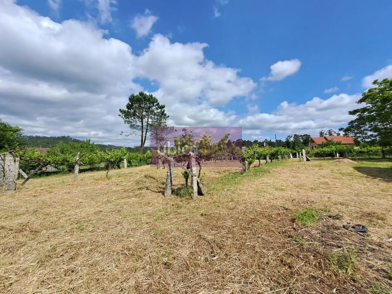 Casa o xalet en venda en Salvaterra de Miño amb Jardí privat i Traster