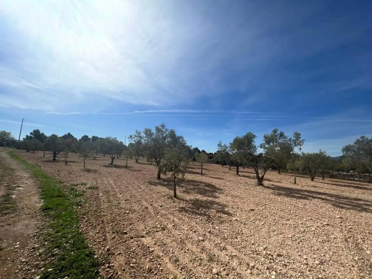 Chalet con jardín en venta en Calle Poligono, imagen 80