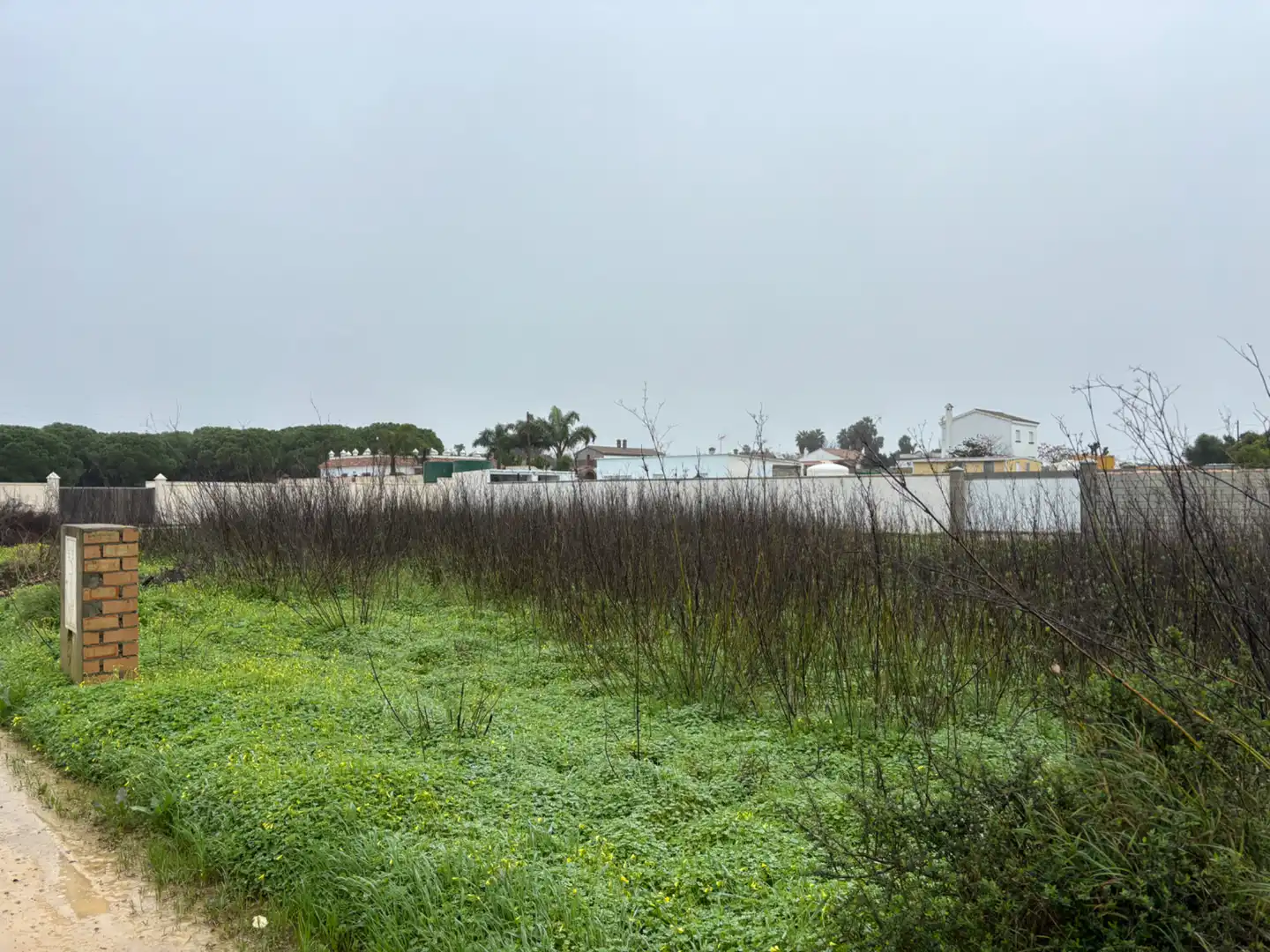Terreni e lotti in vendita a Carril los Panzitas 37, imagen 13