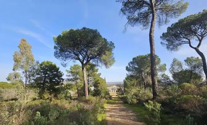 Residential zum Verkauf in Obejo