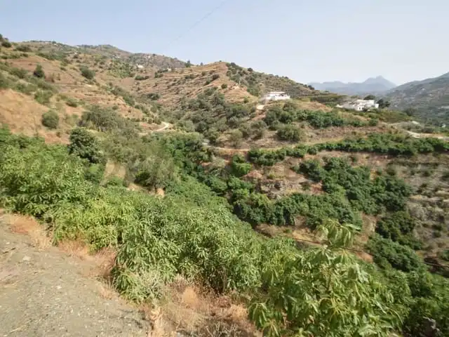Terreni e lotti in vendita a Torrox Pueblo, imagen 2