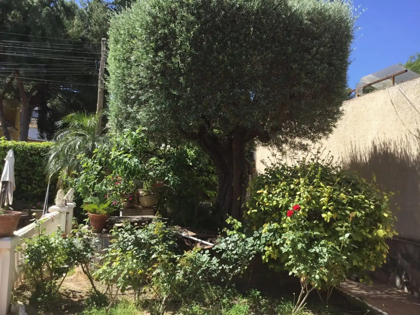 Jardín de Casa o chalet en venta en Murcia con Piscina y Amueblado