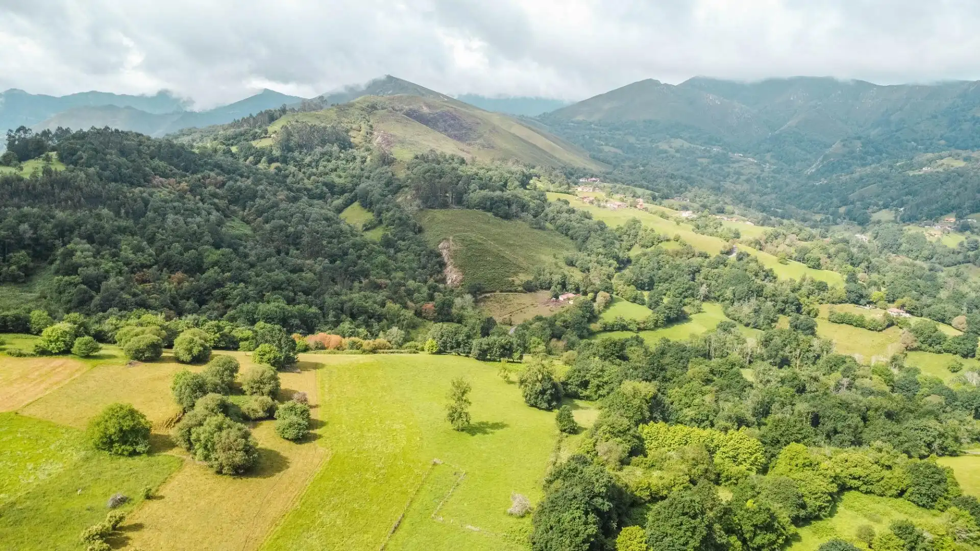 Rural land for sale in Lugar Areñes, imagen 40