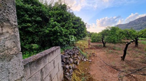 Foto 5 de Terreno en venta en Calle Casella, Urbanitzacions i Pedanies Sud, Alzira