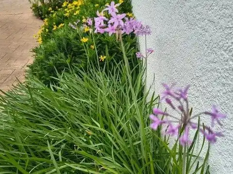 Garten von Dachboden zum Verkauf in Pals mit Terrasse, Möbliert und Gemeinschaftspool