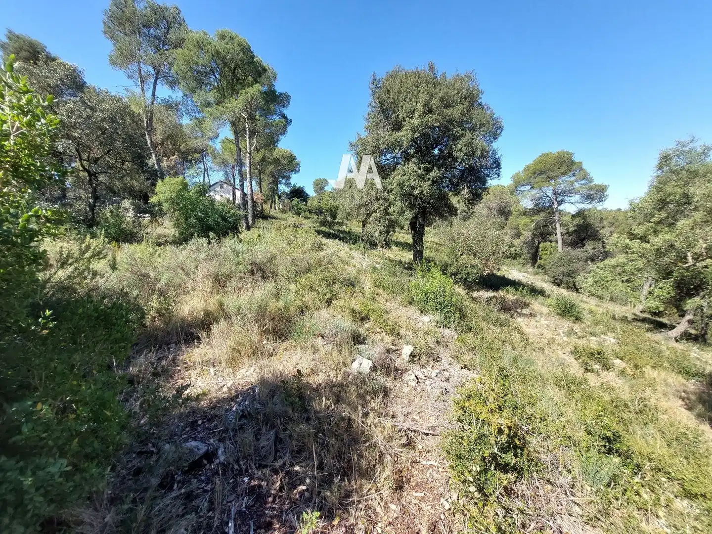 Terreny residencial en venda a FRANCESC COMBÓ, imagen 4