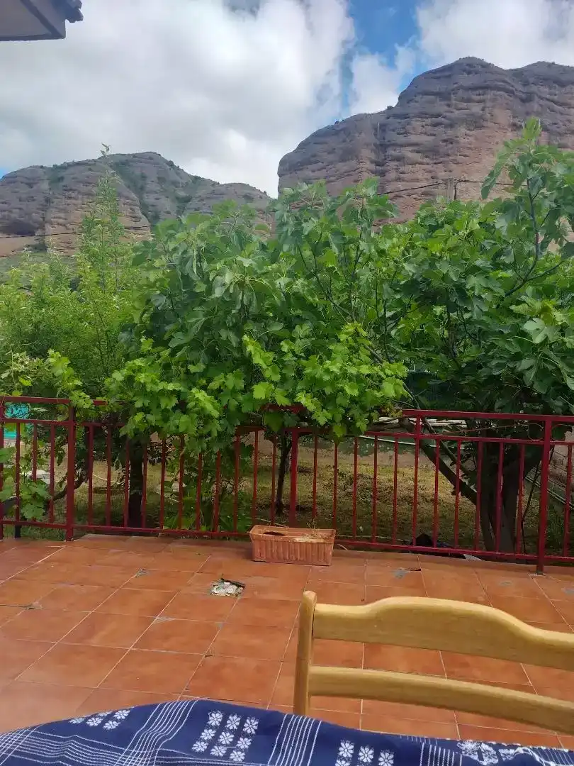 Jardí de Casa o xalet en venda en Viguera amb Piscina i Balcó