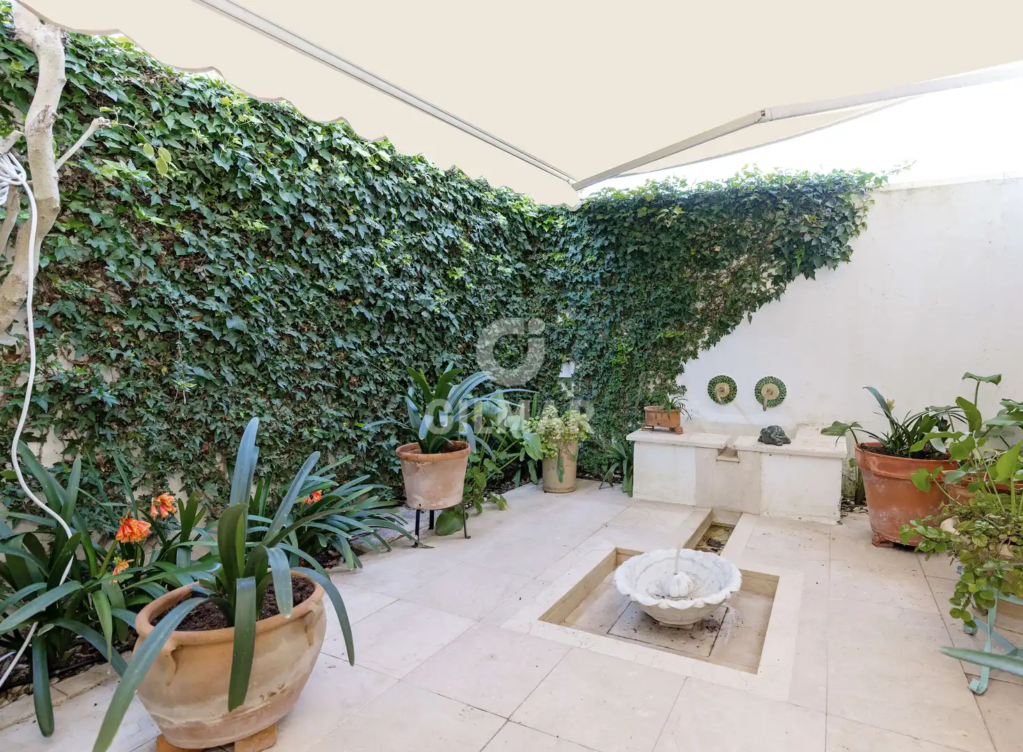 Chalet con piscina en venta en Jerez norte - Montealto - Pozoalbero, imagen 8