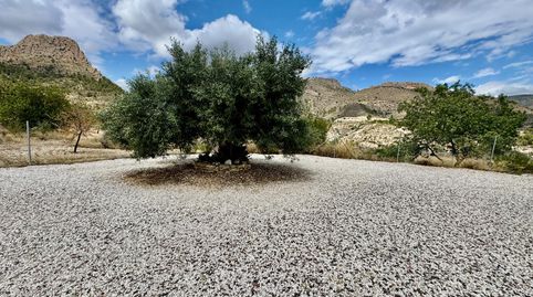 Photo 5 of Houses for sale in Figueret, Relleu, Alicante