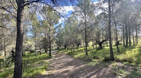 Terreno Rústico en venta en Montaña., immagine 4