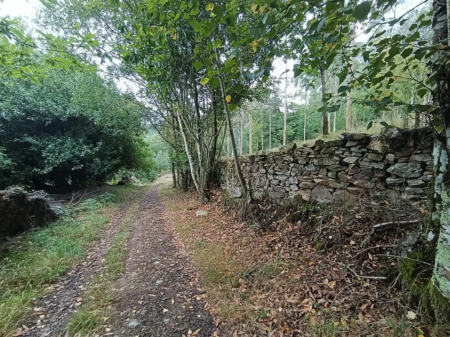 Country homes for sale in Pravia