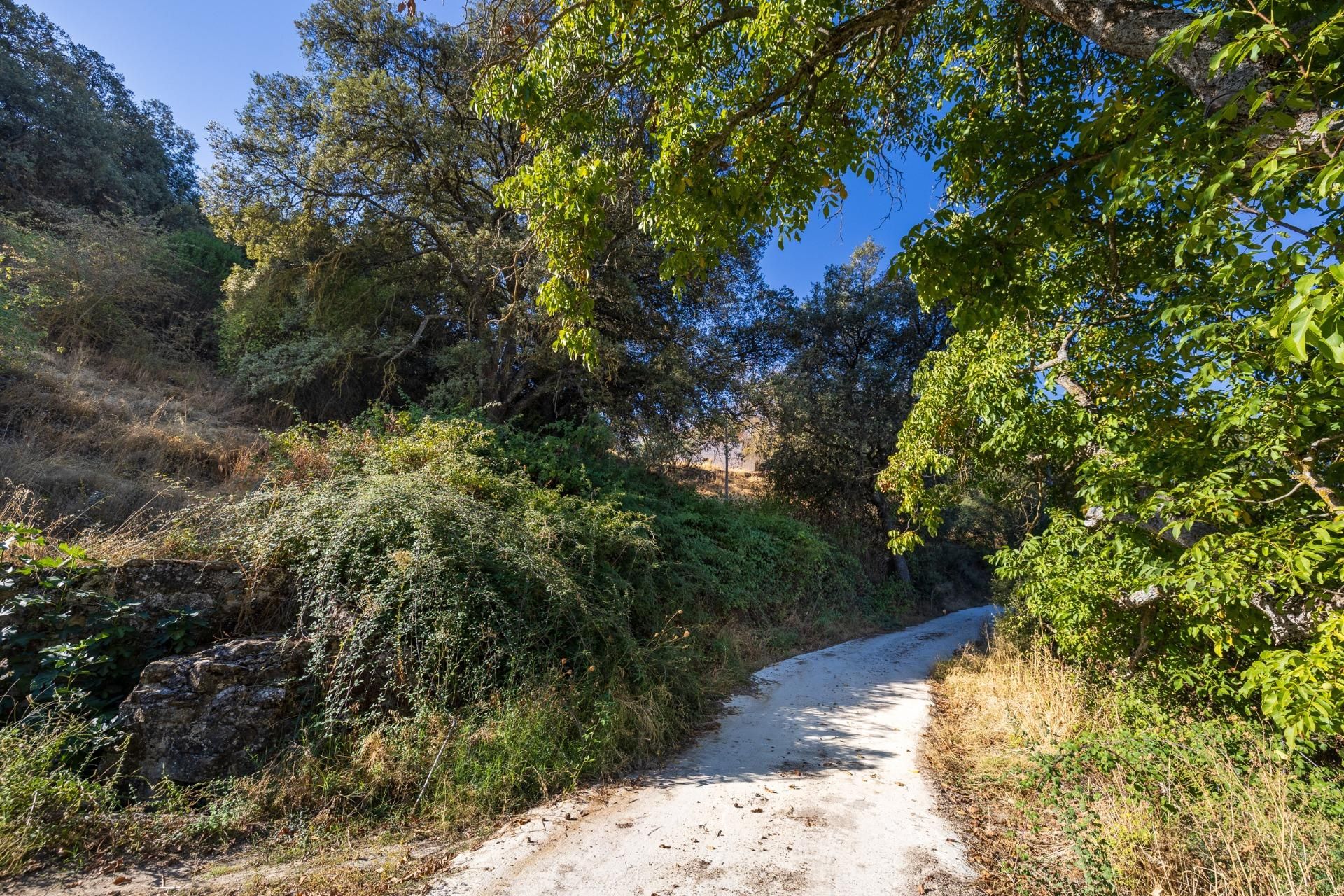 Finca rústica en venta en Montefrío