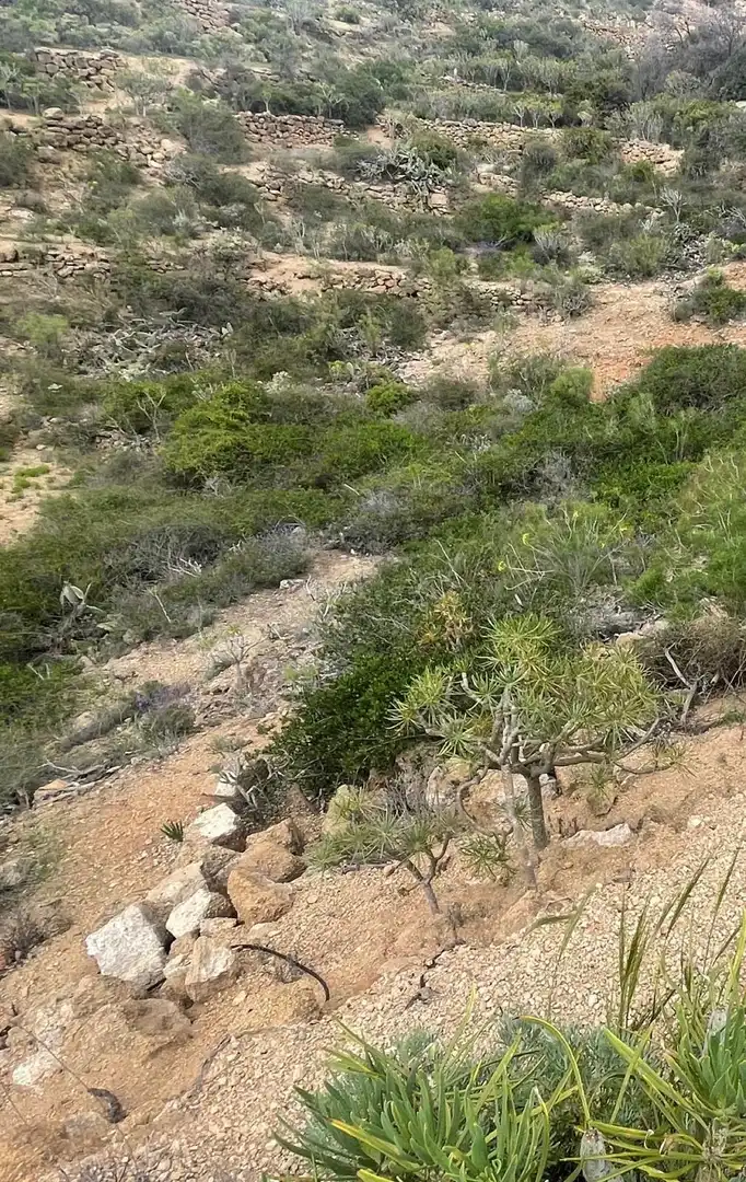 Terreno rustico in vendita a Arico, imagen 19
