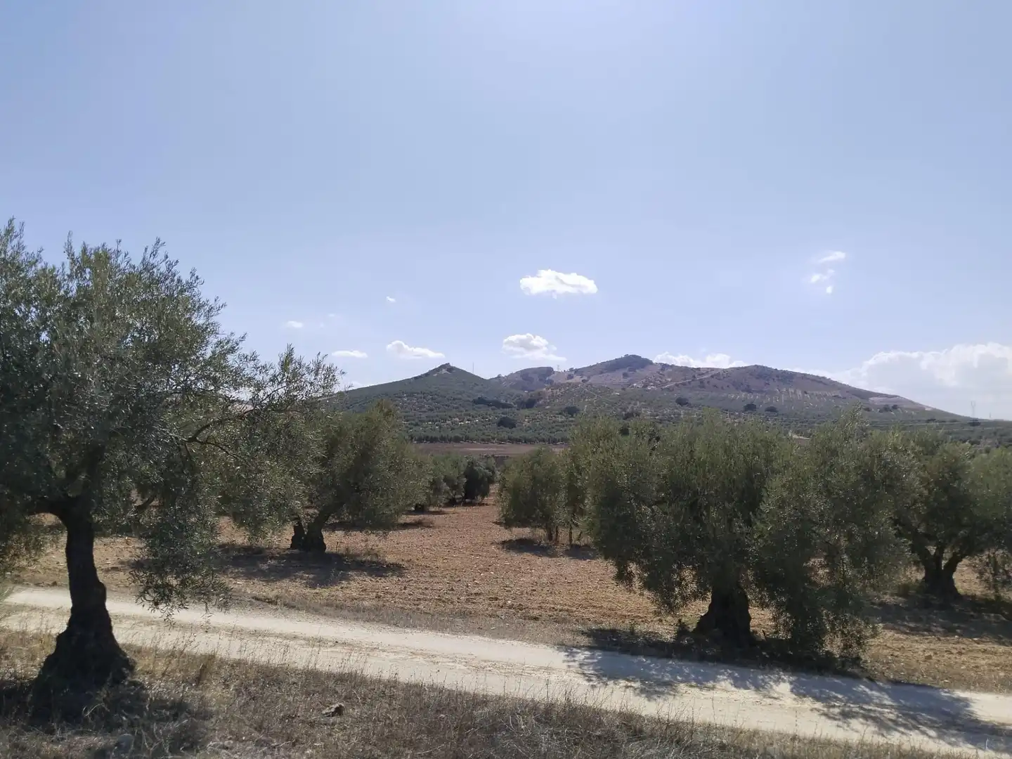 Terrenys i solars en venda a Centro, imagen 4