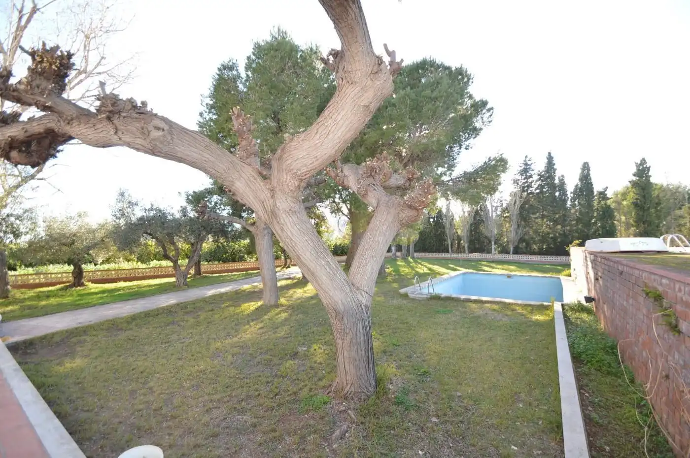 Jardín de Casa o chalet en venta en Benicarló con Aire acondicionado, Calefacción y Jardín privado