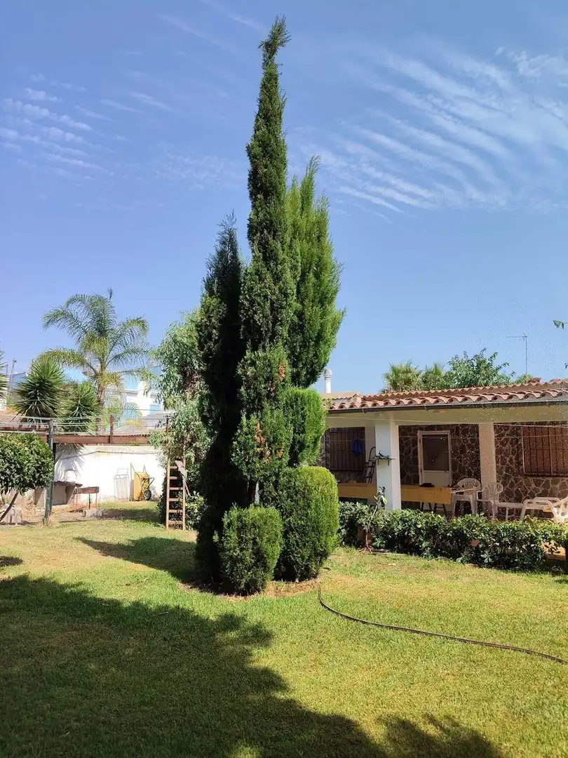 Xalet amb jardí en venda a Eucaliptus- Poble Nou del Delta, imagen 23