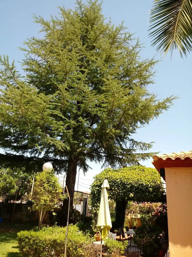 Xalet amb piscina en venda a Villanueva de la Serena, imagen 29