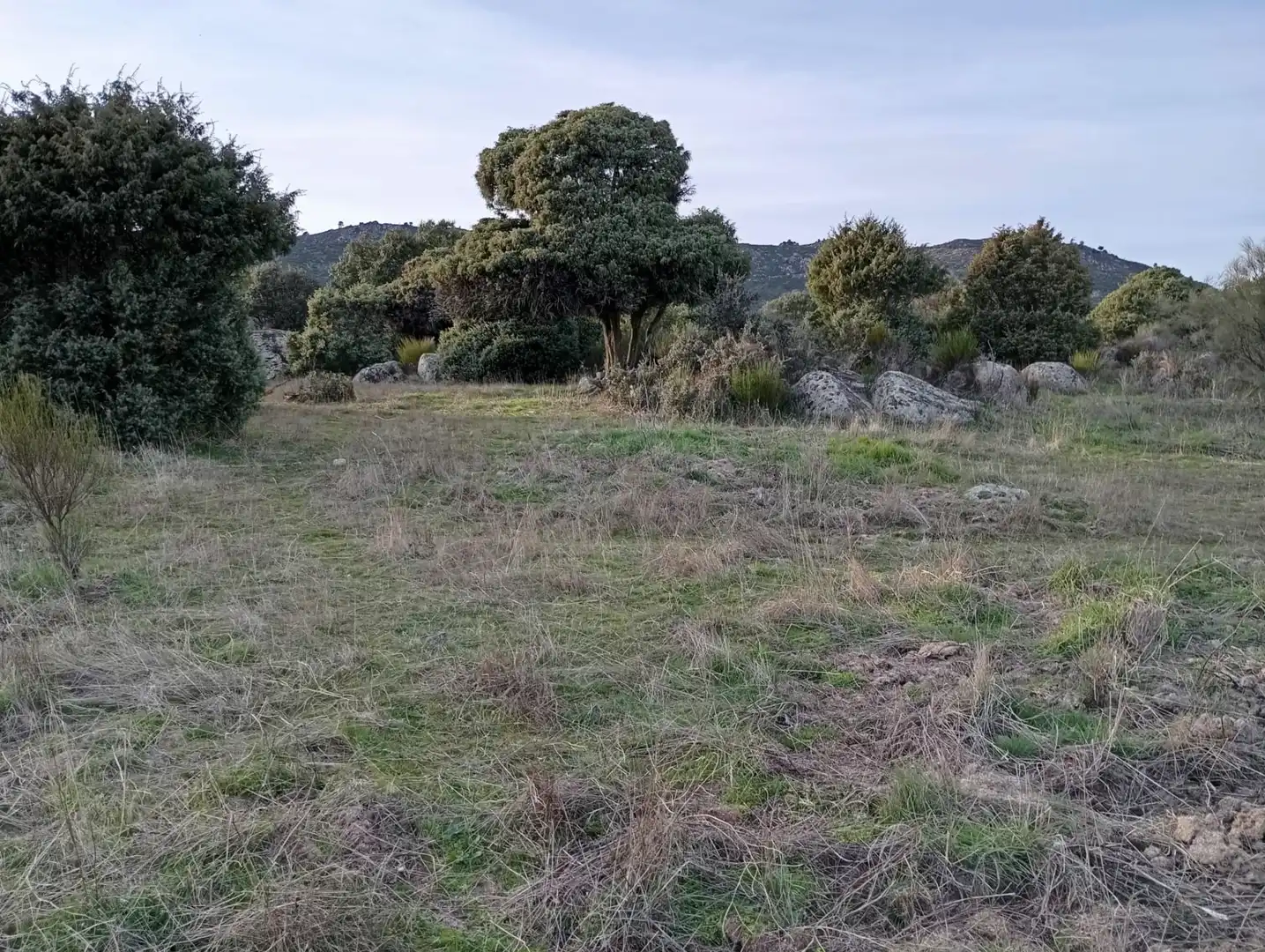 Terreno rustico in vendita a Fresnedillas de la Oliva, imagen 14