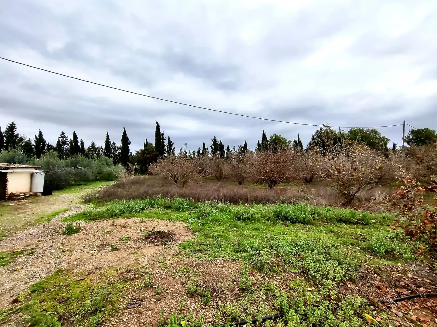Land for sale in Vilallonga del Camp