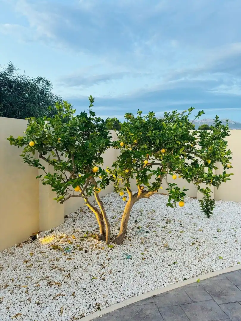 Casa con balcón en venta en N/A, imagen 44