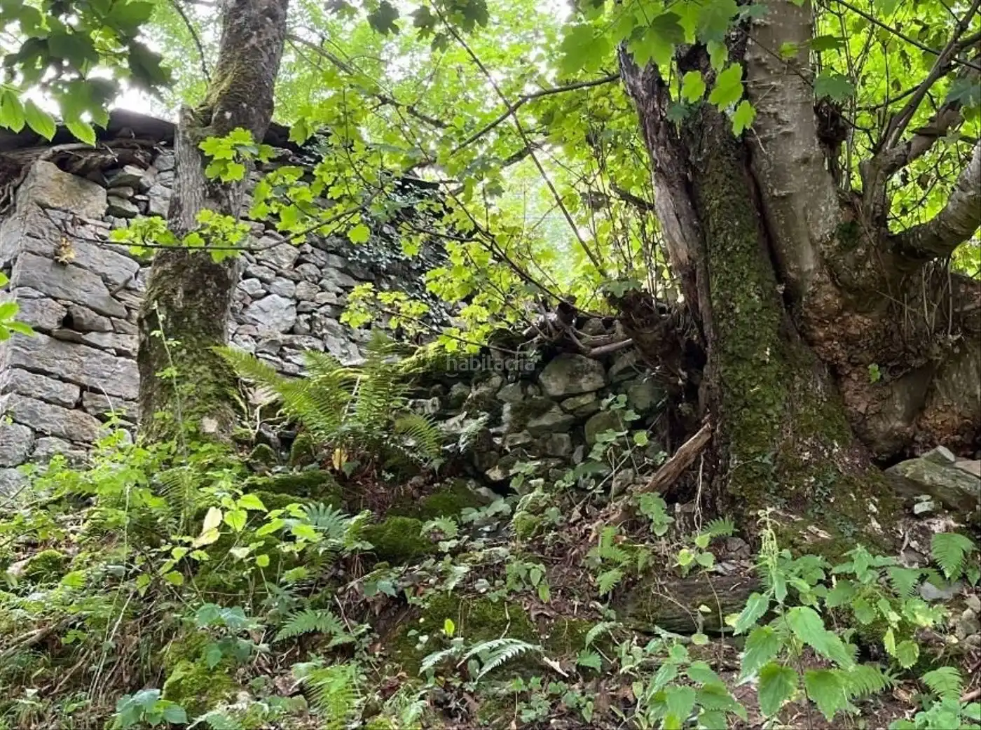 Haus zum Verkauf in Caserio Llananzanes 11, imagen 5