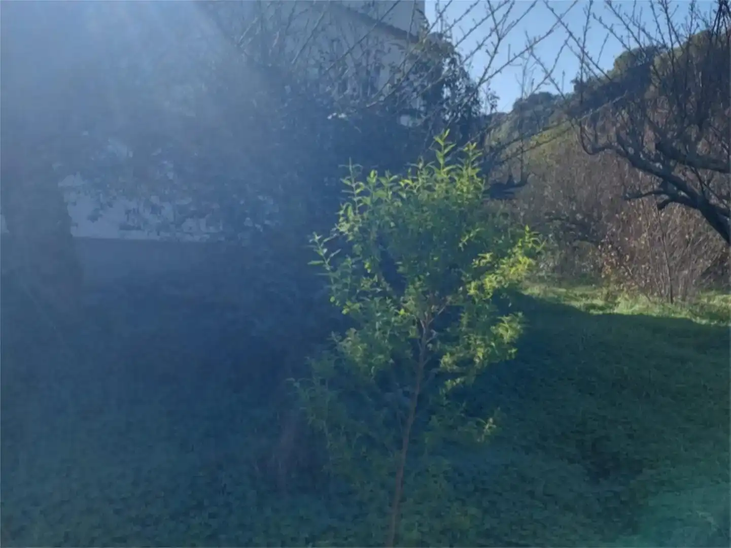 Grundstücke zum Verkauf in Valleseco