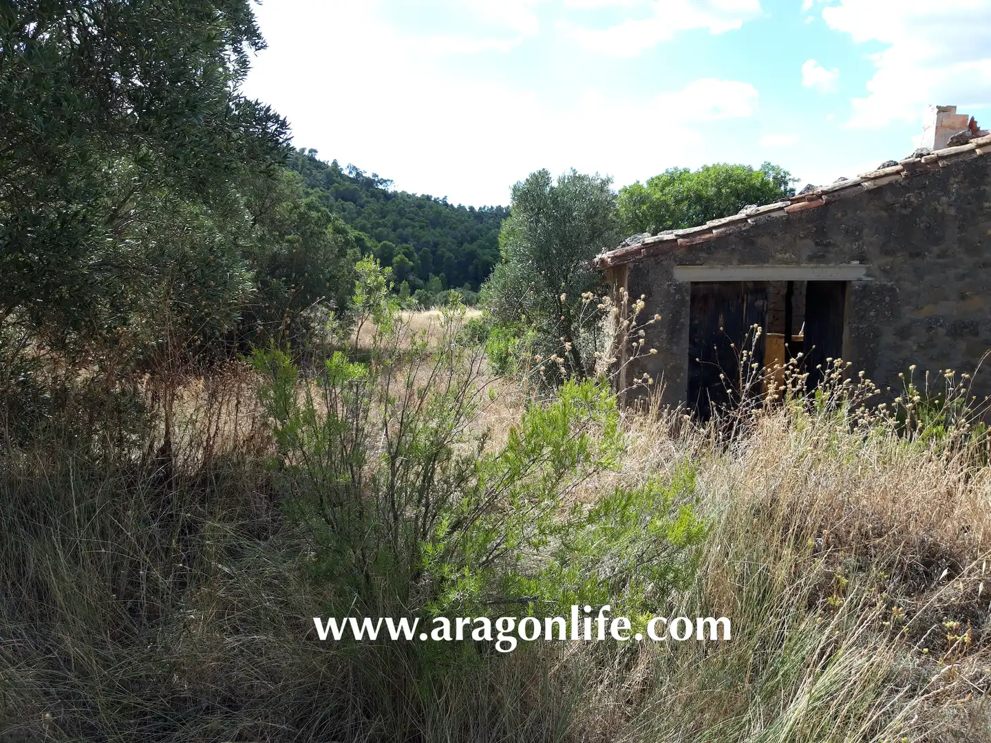 Finca rústica en venta en Fabara