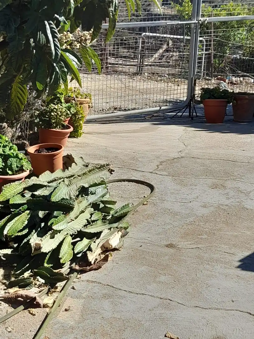 Casa o xalet en venda a N/A, Norte - Barrio del Pilar - El Reñidero