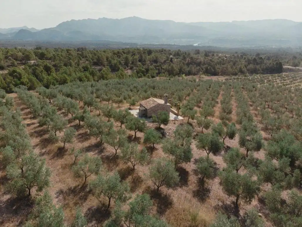 Casa o chalet en venta en Xerta con Jacuzzi