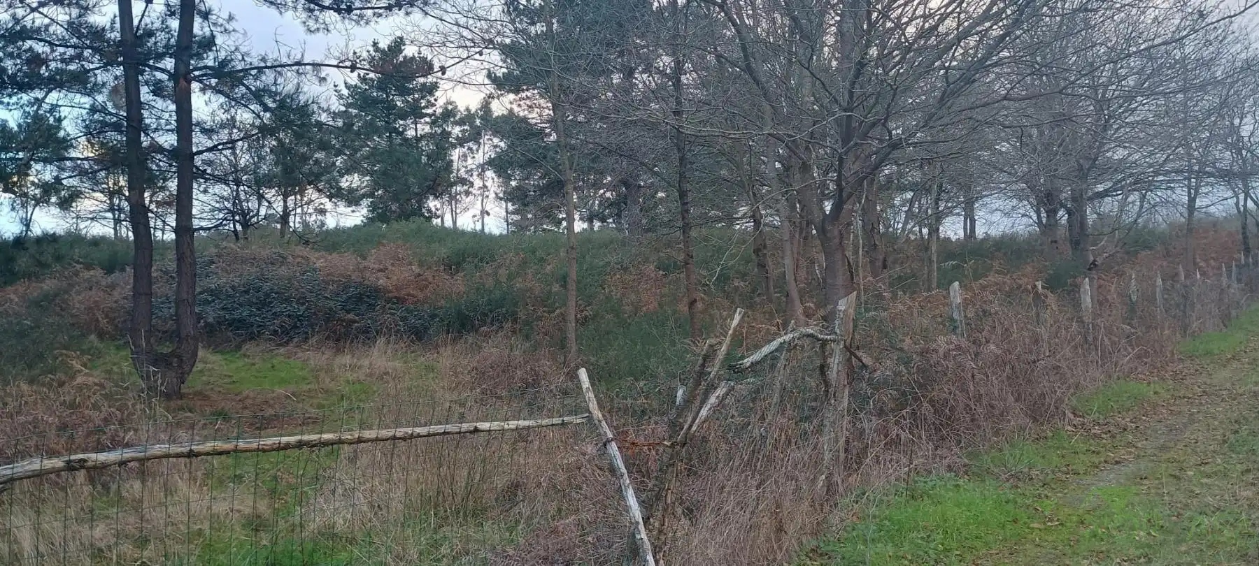 Terrenys i solars en venda a Posada de Llanera, imagen 4