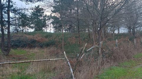 LlaneraTerreno, immagine 4
