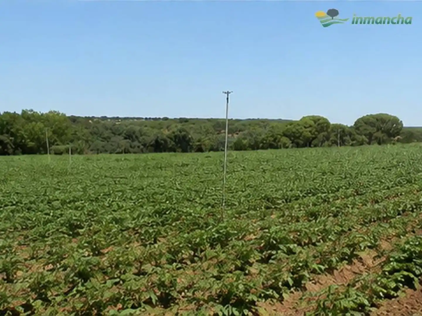 Rural land for sale in La Roda, imagen 2
