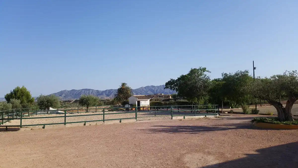 Casa rústica amb piscina en venda a N/A, imagen 50