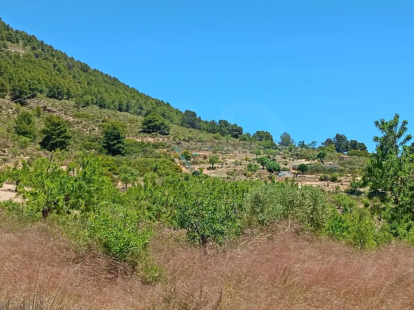 Terreni e lotti in vendita a Pedanías Norte, imagen 14
