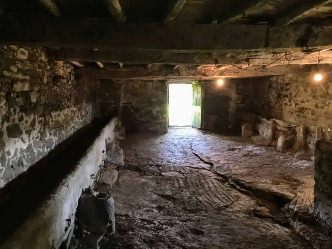 Casa o xalet en venda en Tineo amb Jardí privat i Traster