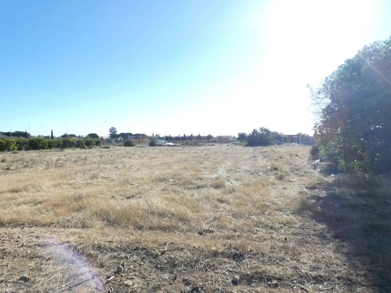 Rural land for sale in Poligono 3 PARTIDA EL PUIG, imagen 6