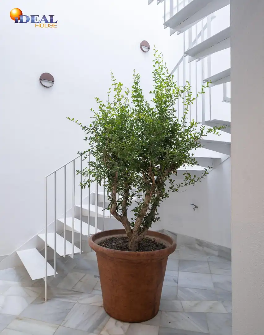 Balcony of Flat for sale in Granada  with Air Conditioner
