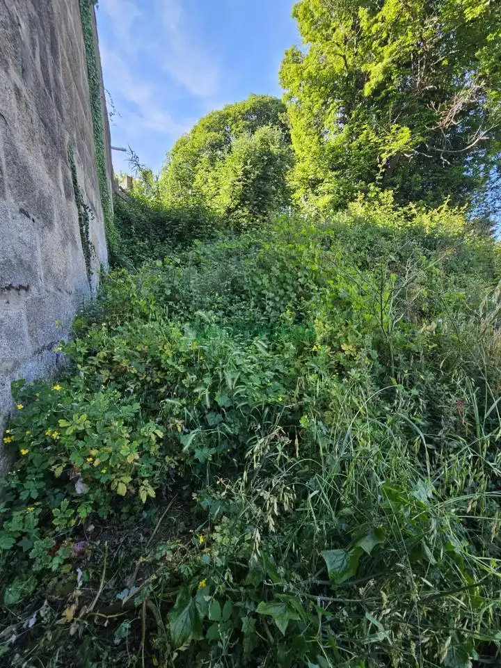 Maison avec jardin à vendre à Centro Urbano, imagen 41