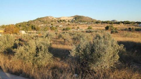 Foto 5 de Edificio en venta en La Romana, Alicante