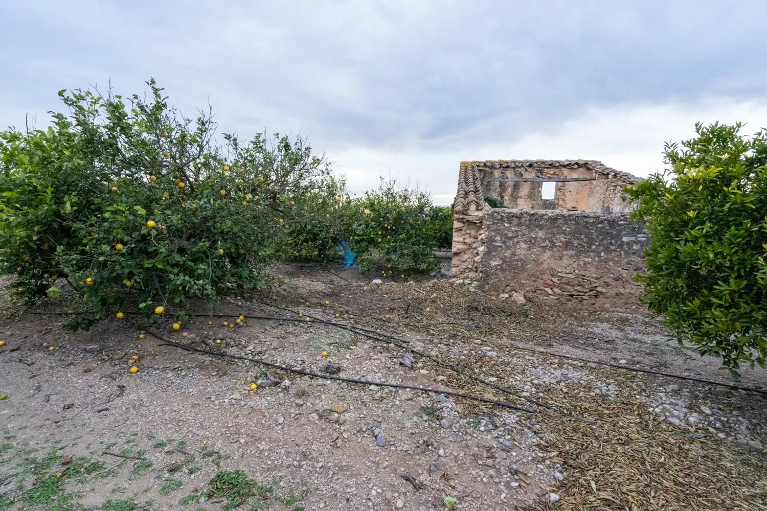 Rural land for sale in Camì Vell de la Galera 75, imagen 7