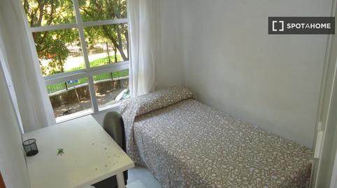 Foto 2 de Pis per a compartir a Ciudad Jardín - Zoco,  Córdoba Capital